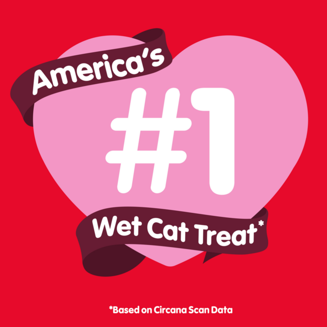Delctables Lickable Spoon. America's number one cat treat!