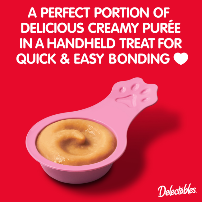 Lickable Spoon is a perfect hand held cat treat for quick and easy bonding.