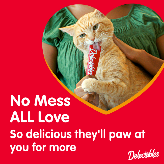 No Mess, ALL Love; so delicious they'll paw at you for more